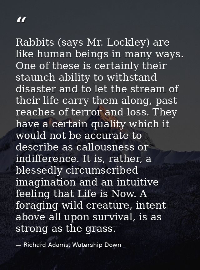 Rabbits (says Mr. Lockley) are like human beings in many ways. One of these is certainly their staunch ability to withst — Richard Adams, Watership Down