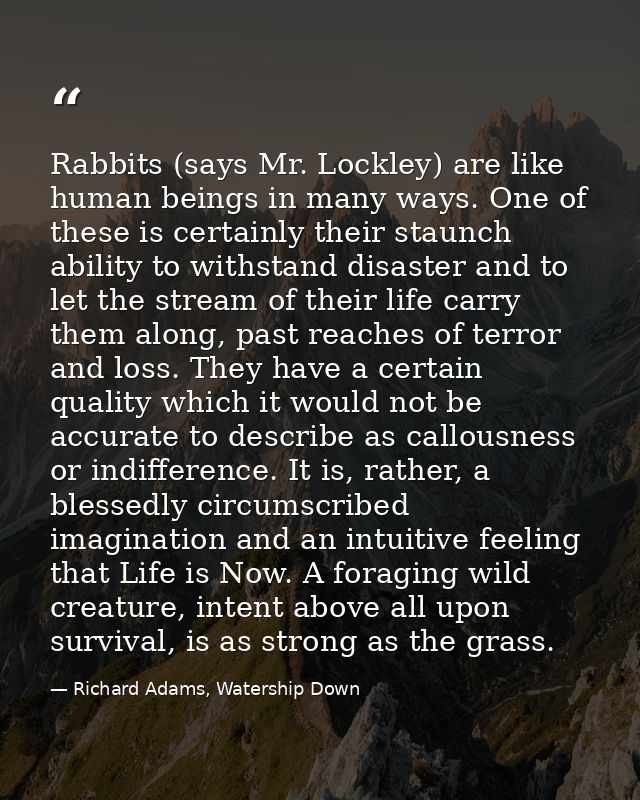 Rabbits (says Mr. Lockley) are like human beings in many ways. One of these is certainly their staunch ability to withst — Richard Adams, Watership Down