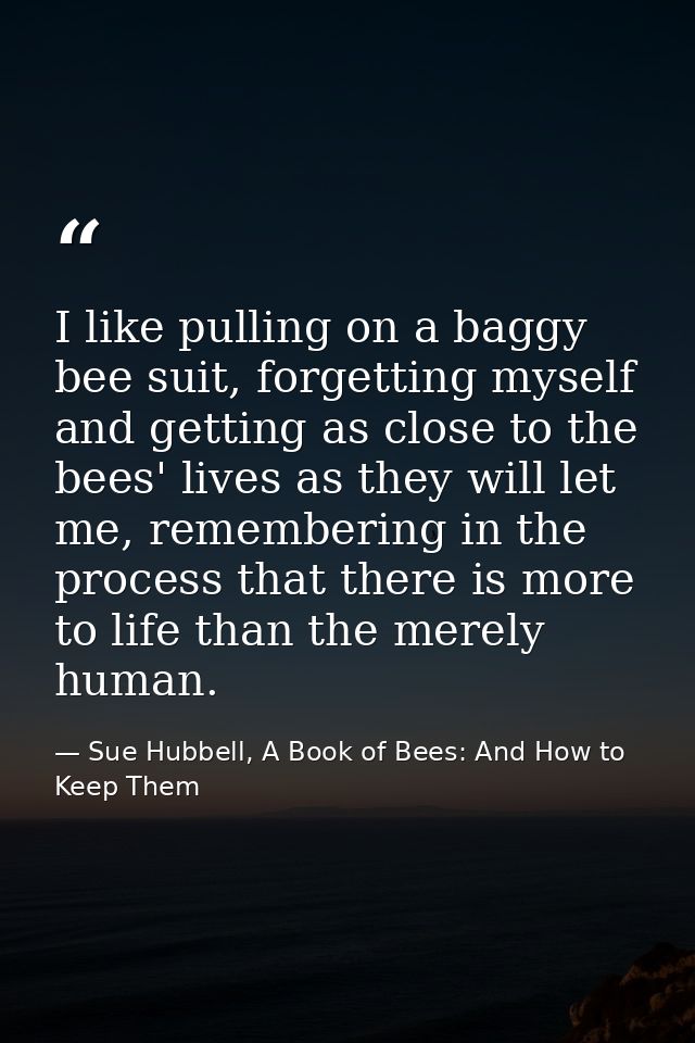 I like pulling on a baggy bee suit, forgetting myself and getting as close to the bees' lives as they will let me, remem — Sue Hubbell, A Book of Bees: And How to Keep Them