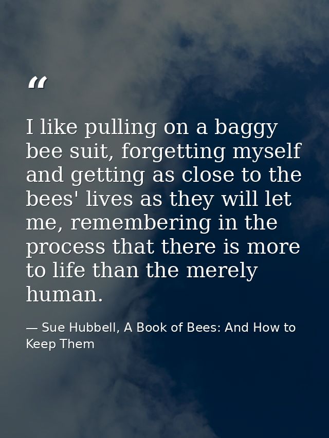 I like pulling on a baggy bee suit, forgetting myself and getting as close to the bees' lives as they will let me, remem — Sue Hubbell, A Book of Bees: And How to Keep Them