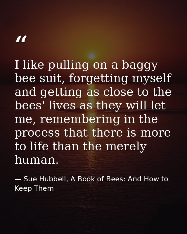 I like pulling on a baggy bee suit, forgetting myself and getting as close to the bees' lives as they will let me, remem — Sue Hubbell, A Book of Bees: And How to Keep Them