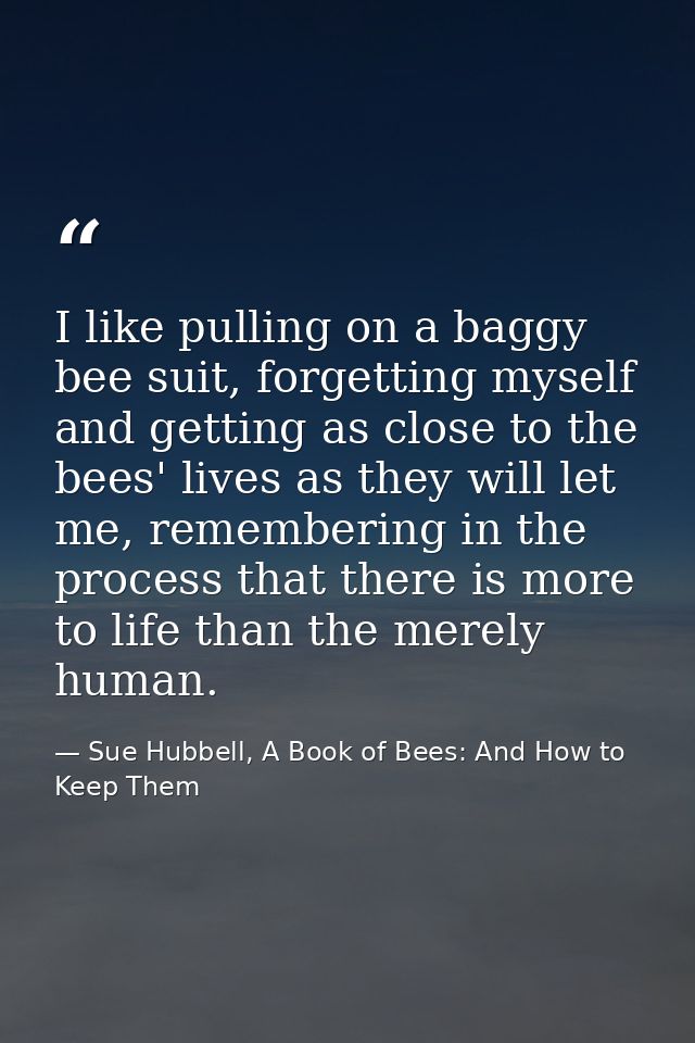 I like pulling on a baggy bee suit, forgetting myself and getting as close to the bees' lives as they will let me, remem — Sue Hubbell, A Book of Bees: And How to Keep Them