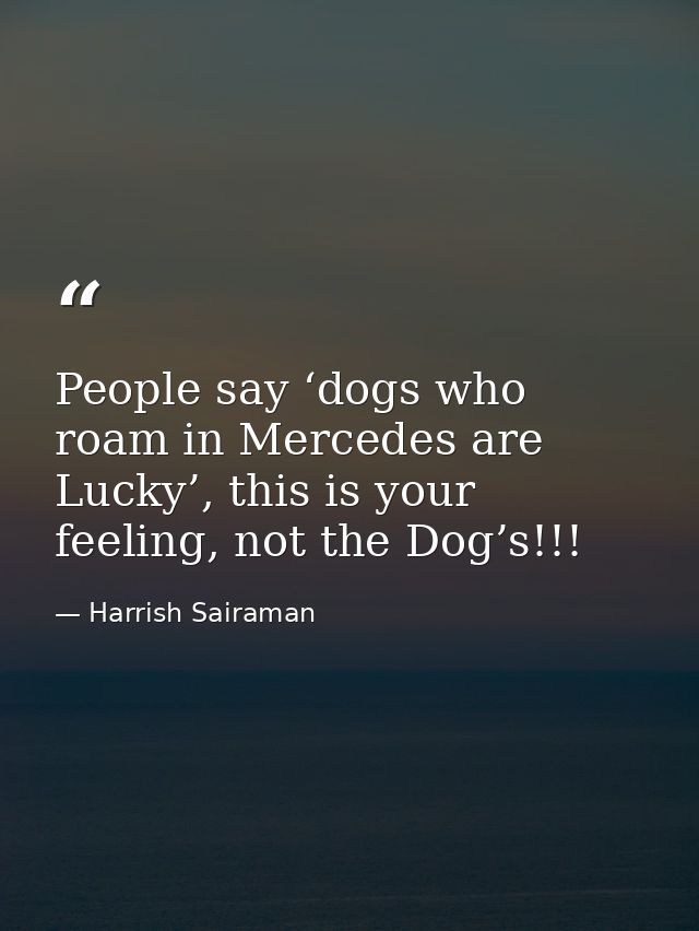 People say ‘dogs who roam in Mercedes are Lucky’, this is your feeling, not the Dog’s!!! — Harrish Sairaman