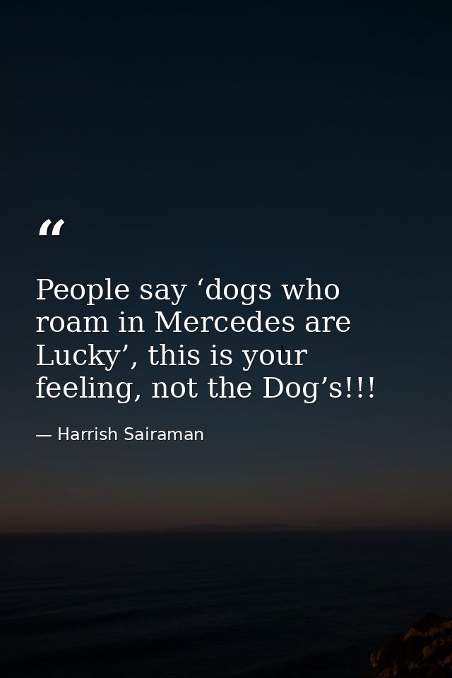 People say ‘dogs who roam in Mercedes are Lucky’, this is your feeling, not the Dog’s!!! — Harrish Sairaman