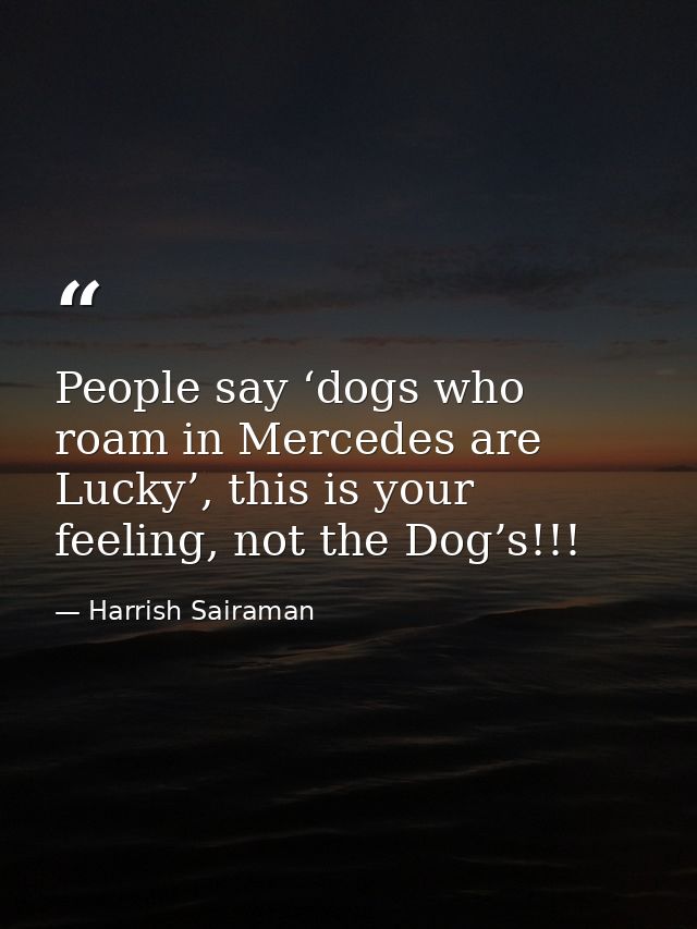 People say ‘dogs who roam in Mercedes are Lucky’, this is your feeling, not the Dog’s!!! — Harrish Sairaman
