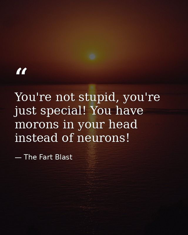 You're not stupid, you're just special! You have morons in your head instead of neurons! — The Fart Blast