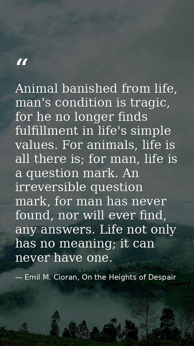 Animal banished from life, man's condition is tragic, for he no longer finds fulfillment in life's simple values. For an — Emil M. Cioran, On the Heights of Despair