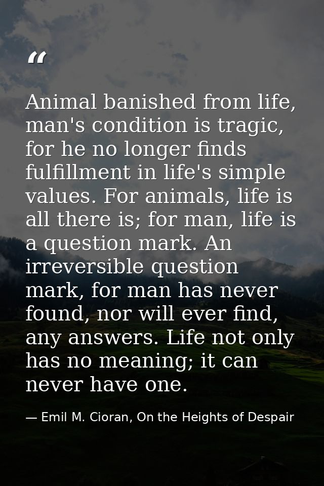 Animal banished from life, man's condition is tragic, for he no longer finds fulfillment in life's simple values. For an — Emil M. Cioran, On the Heights of Despair
