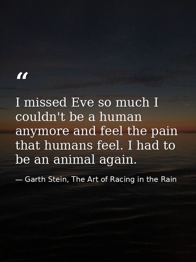 I missed Eve so much I couldn't be a human anymore and feel the pain that humans feel. I had to be an animal again. — Garth Stein, The Art of Racing in the Rain