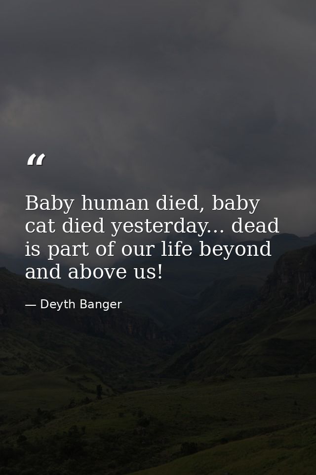 Baby human died, baby cat died yesterday... dead is part of our life beyond and above us! — Deyth Banger