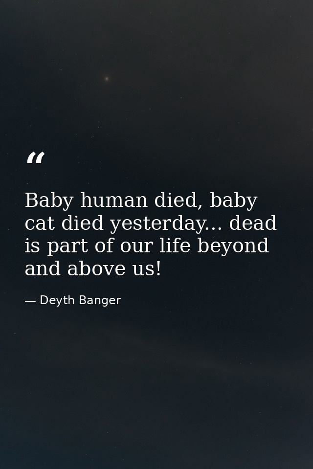 Baby human died, baby cat died yesterday... dead is part of our life beyond and above us! — Deyth Banger