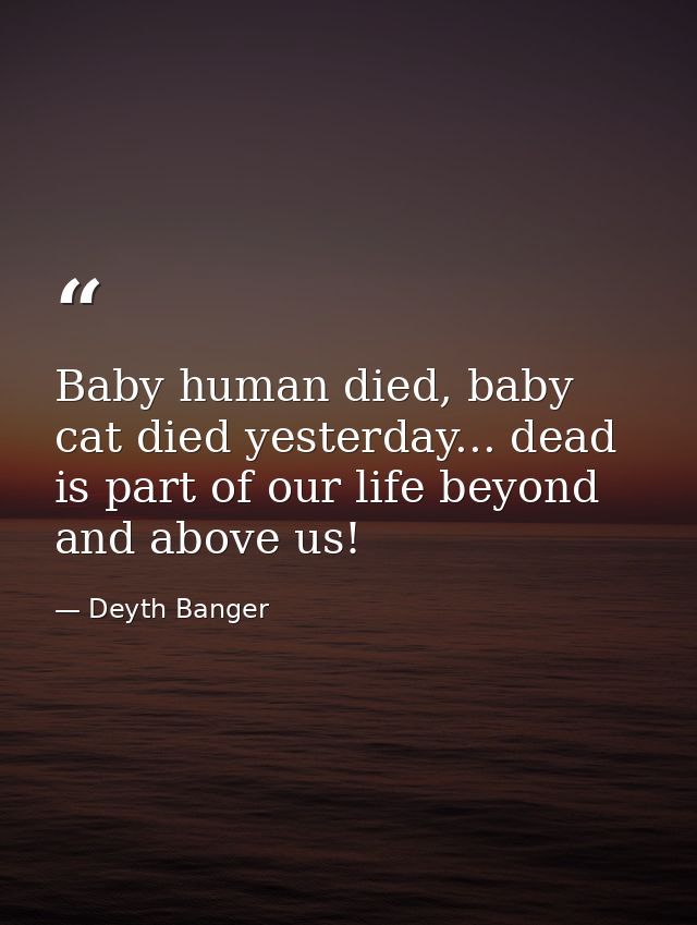Baby human died, baby cat died yesterday... dead is part of our life beyond and above us! — Deyth Banger
