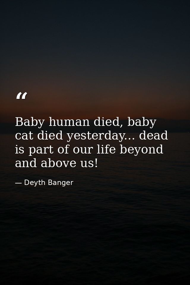 Baby human died, baby cat died yesterday... dead is part of our life beyond and above us! — Deyth Banger
