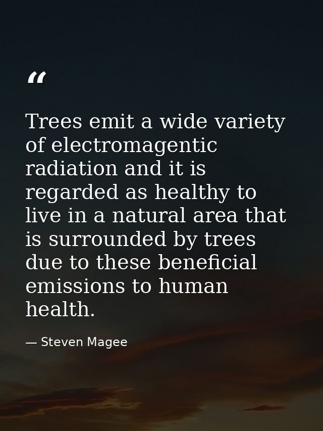 Trees emit a wide variety of electromagentic radiation and it is regarded as healthy to live in a natural area that is s — Steven Magee