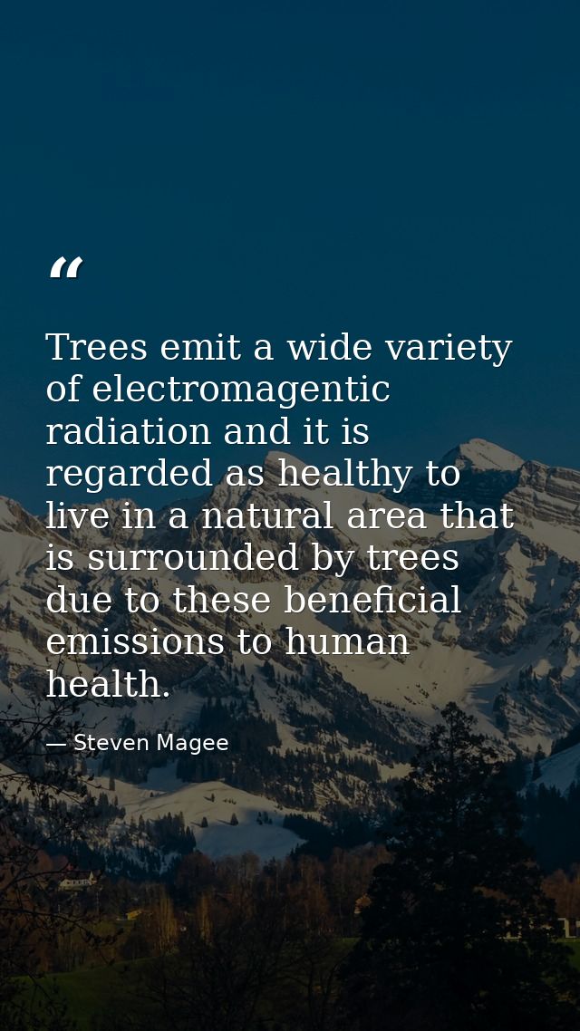Trees emit a wide variety of electromagentic radiation and it is regarded as healthy to live in a natural area that is s — Steven Magee