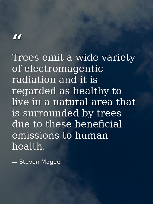 Trees emit a wide variety of electromagentic radiation and it is regarded as healthy to live in a natural area that is s — Steven Magee