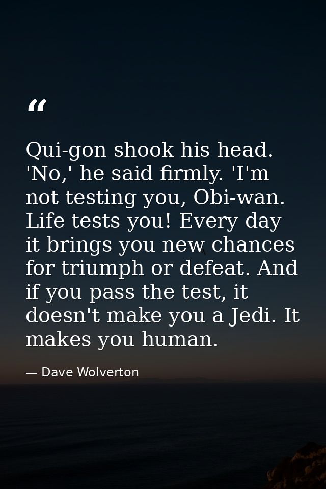 Qui-gon shook his head. 'No,' he said firmly. 'I'm not testing you, Obi-wan. Life tests you! Every day it brings you new — Dave Wolverton