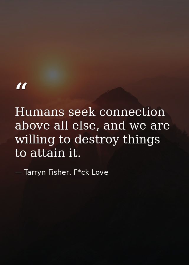 Humans seek connection above all else, and we are willing to destroy things to attain it. — Tarryn Fisher, F*ck Love