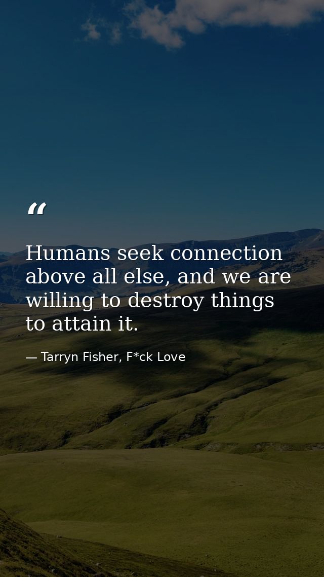 Humans seek connection above all else, and we are willing to destroy things to attain it. — Tarryn Fisher, F*ck Love