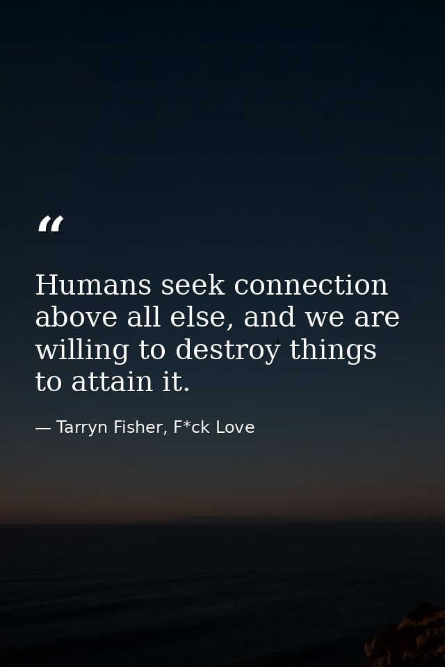 Humans seek connection above all else, and we are willing to destroy things to attain it. — Tarryn Fisher, F*ck Love