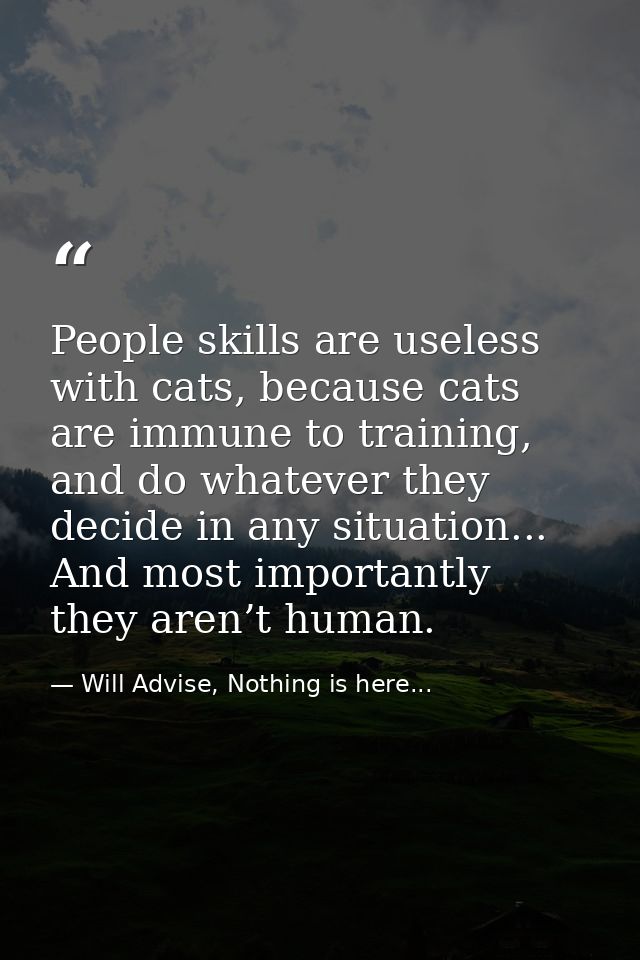 People skills are useless with cats, because cats are immune to training, and do whatever they decide in any situation.. — Will Advise, Nothing is here...