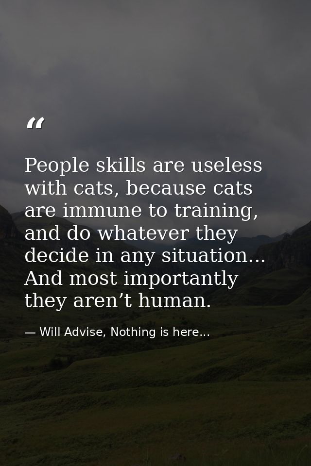 People skills are useless with cats, because cats are immune to training, and do whatever they decide in any situation.. — Will Advise, Nothing is here...