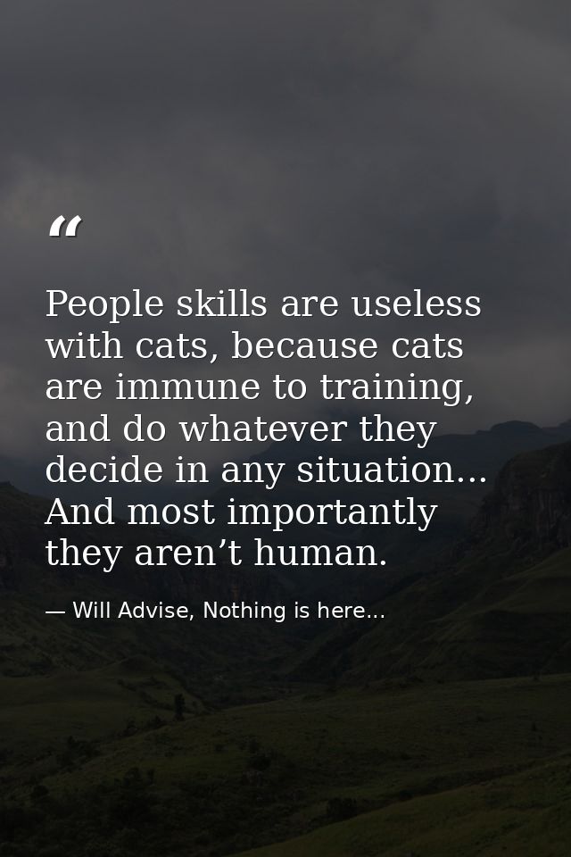 People skills are useless with cats, because cats are immune to training, and do whatever they decide in any situation.. — Will Advise, Nothing is here...