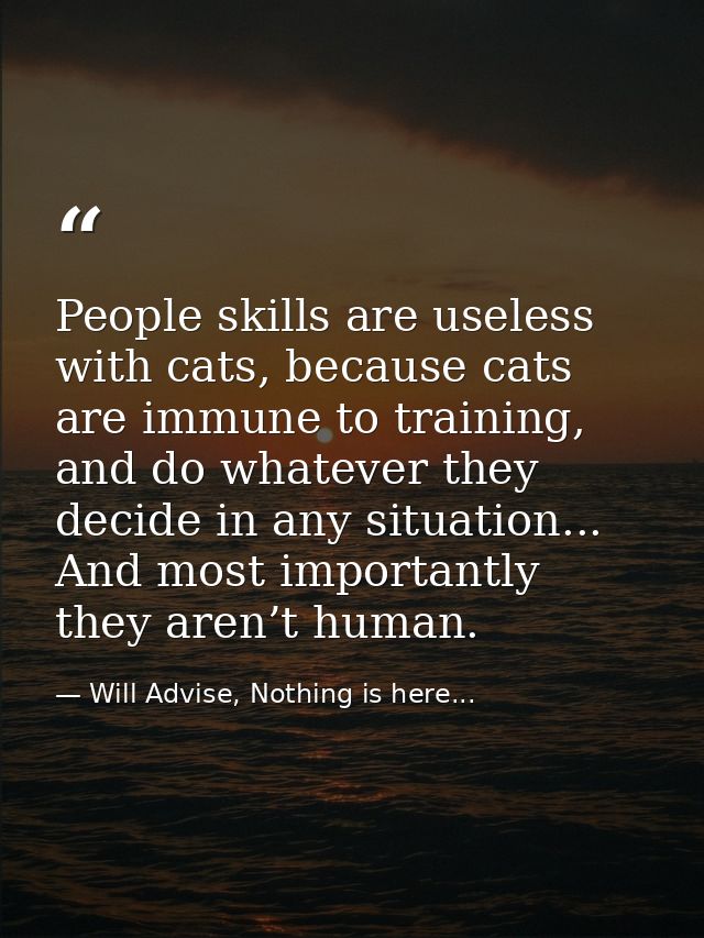 People skills are useless with cats, because cats are immune to training, and do whatever they decide in any situation.. — Will Advise, Nothing is here...