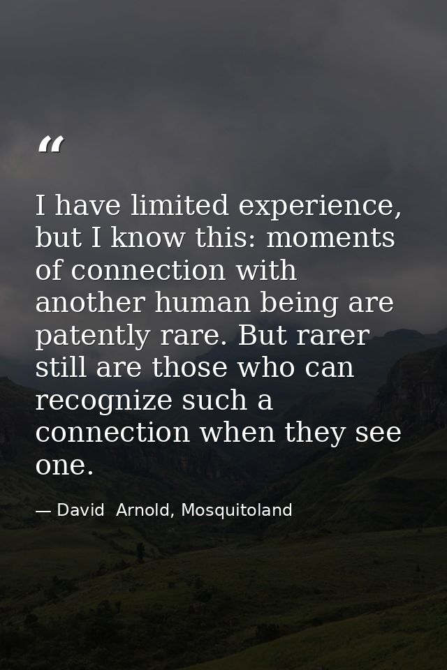 I have limited experience, but I know this: moments of connection with another human being are patently rare. But rarer  — David  Arnold, Mosquitoland
