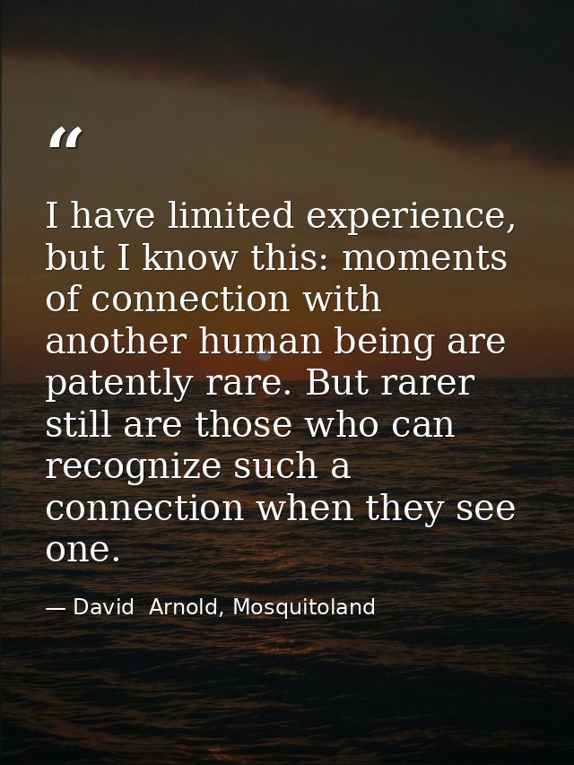 I have limited experience, but I know this: moments of connection with another human being are patently rare. But rarer  — David  Arnold, Mosquitoland