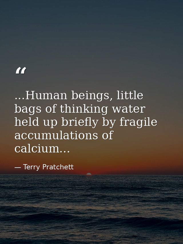...Human beings, little bags of thinking water held up briefly by fragile accumulations of calcium... — Terry Pratchett