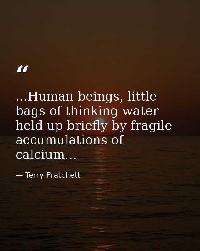 ...Human beings, little bags of thinking water held up briefly by fragile accumulations of calcium... — Terry Pratchett