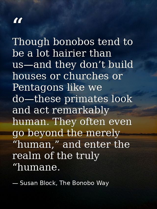 Though bonobos tend to be a lot hairier than us—and they don’t build houses or churches or Pentagons like we do—these pr — Susan Block, The Bonobo Way