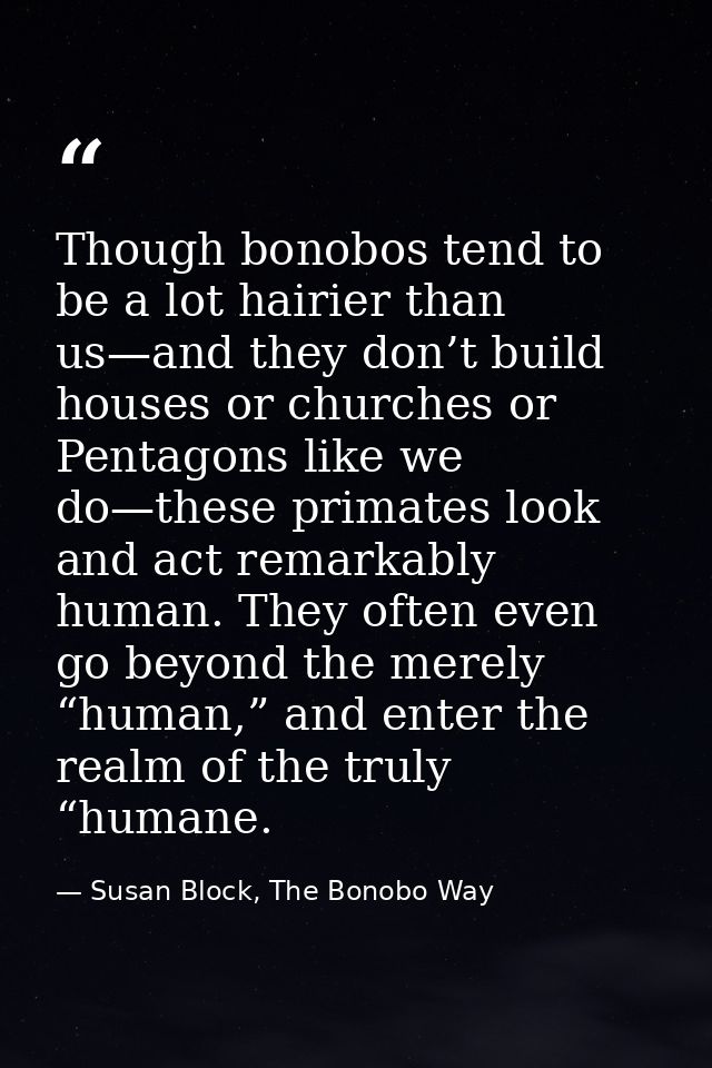 Though bonobos tend to be a lot hairier than us—and they don’t build houses or churches or Pentagons like we do—these pr — Susan Block, The Bonobo Way