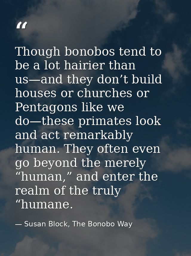 Though bonobos tend to be a lot hairier than us—and they don’t build houses or churches or Pentagons like we do—these pr — Susan Block, The Bonobo Way