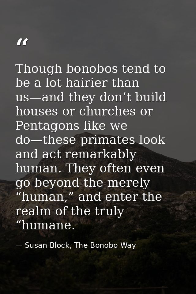 Though bonobos tend to be a lot hairier than us—and they don’t build houses or churches or Pentagons like we do—these pr — Susan Block, The Bonobo Way