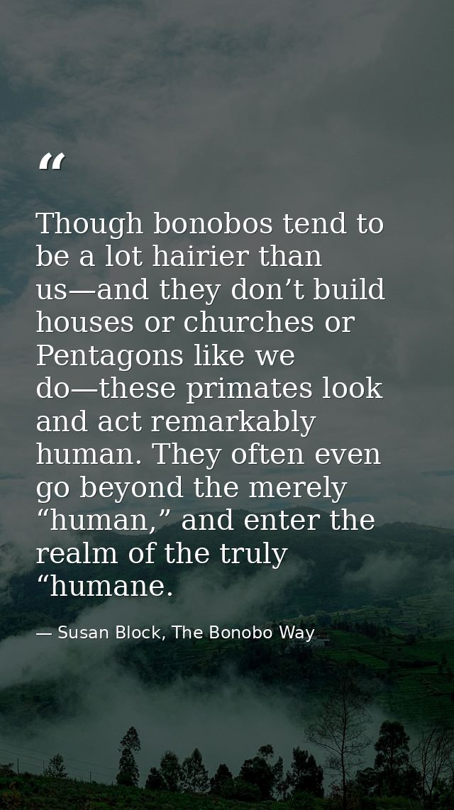 Though bonobos tend to be a lot hairier than us—and they don’t build houses or churches or Pentagons like we do—these pr — Susan Block, The Bonobo Way