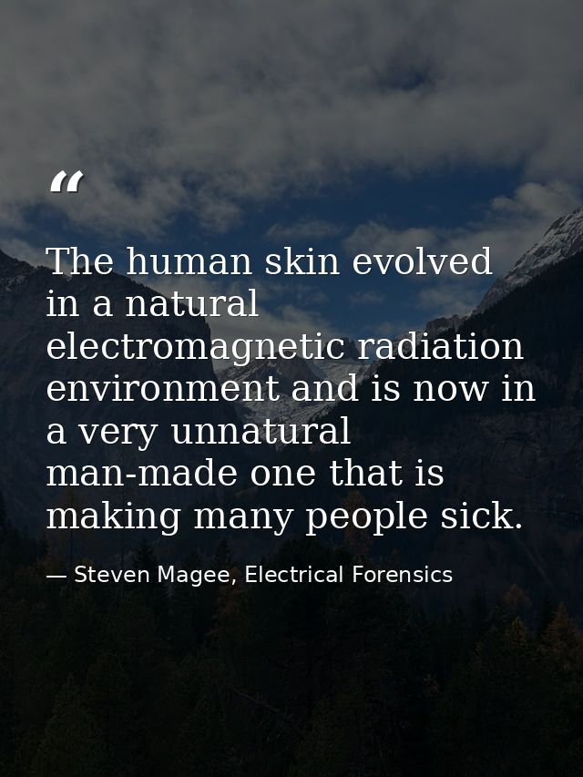 The human skin evolved in a natural electromagnetic radiation environment and is now in a very unnatural man-made one th — Steven Magee, Electrical Forensics