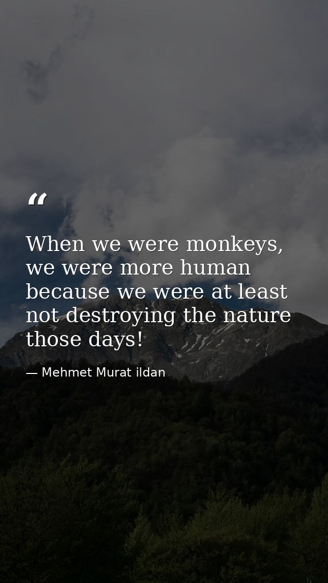 When we were monkeys, we were more human because we were at least not destroying the nature those days! — Mehmet Murat ildan