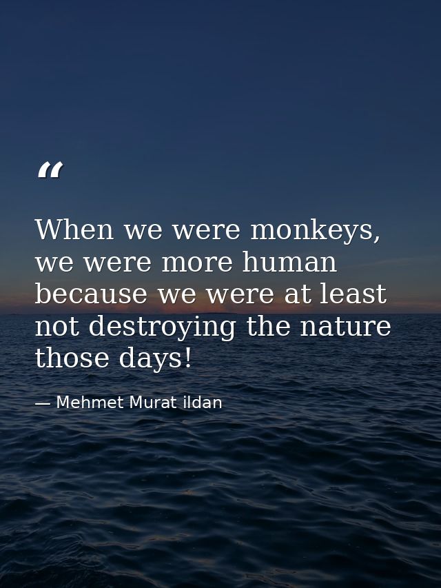 When we were monkeys, we were more human because we were at least not destroying the nature those days! — Mehmet Murat ildan