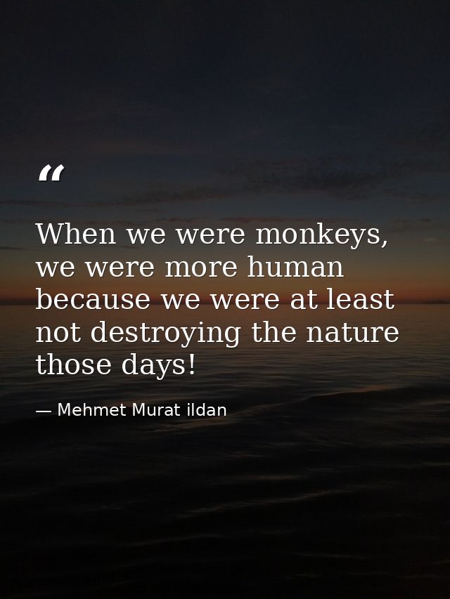 When we were monkeys, we were more human because we were at least not destroying the nature those days! — Mehmet Murat ildan