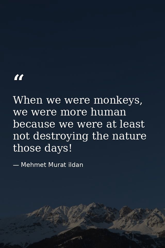 When we were monkeys, we were more human because we were at least not destroying the nature those days! — Mehmet Murat ildan