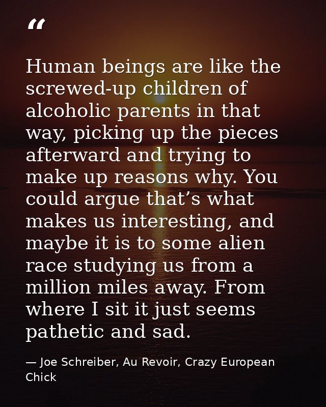 Human beings are like the screwed-up children of alcoholic parents in that way, picking up the pieces afterward and tryi — Joe Schreiber, Au Revoir, Crazy European Chick