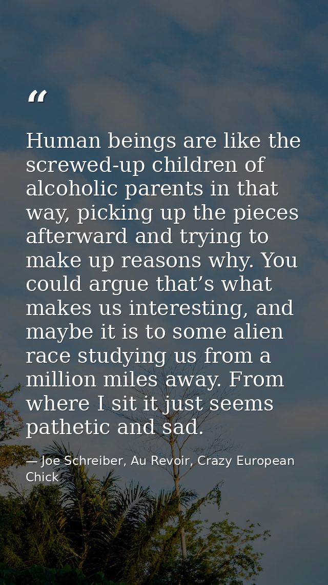 Human beings are like the screwed-up children of alcoholic parents in that way, picking up the pieces afterward and tryi — Joe Schreiber, Au Revoir, Crazy European Chick