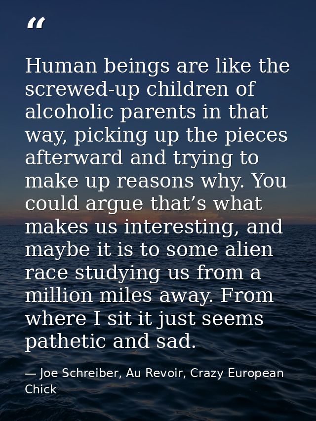 Human beings are like the screwed-up children of alcoholic parents in that way, picking up the pieces afterward and tryi — Joe Schreiber, Au Revoir, Crazy European Chick