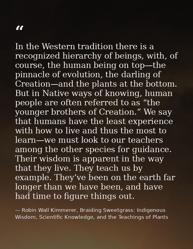 In the Western tradition there is a recognized hierarchy of beings, with, of course, the human being on top—the pinnacle — Robin Wall Kimmerer, Braiding Sweetgrass: Indigenous Wisdom, Scientific Knowledge, and the Teachings of Plants