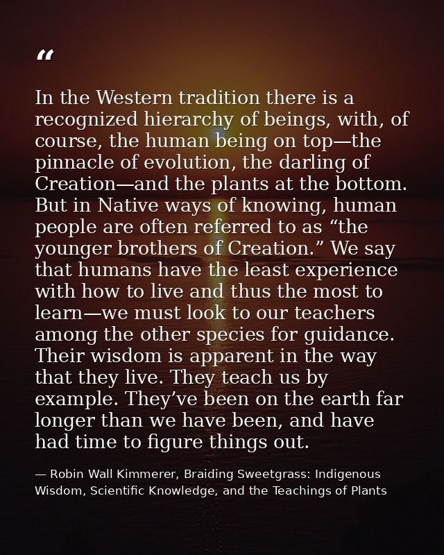 In the Western tradition there is a recognized hierarchy of beings, with, of course, the human being on top—the pinnacle — Robin Wall Kimmerer, Braiding Sweetgrass: Indigenous Wisdom, Scientific Knowledge, and the Teachings of Plants