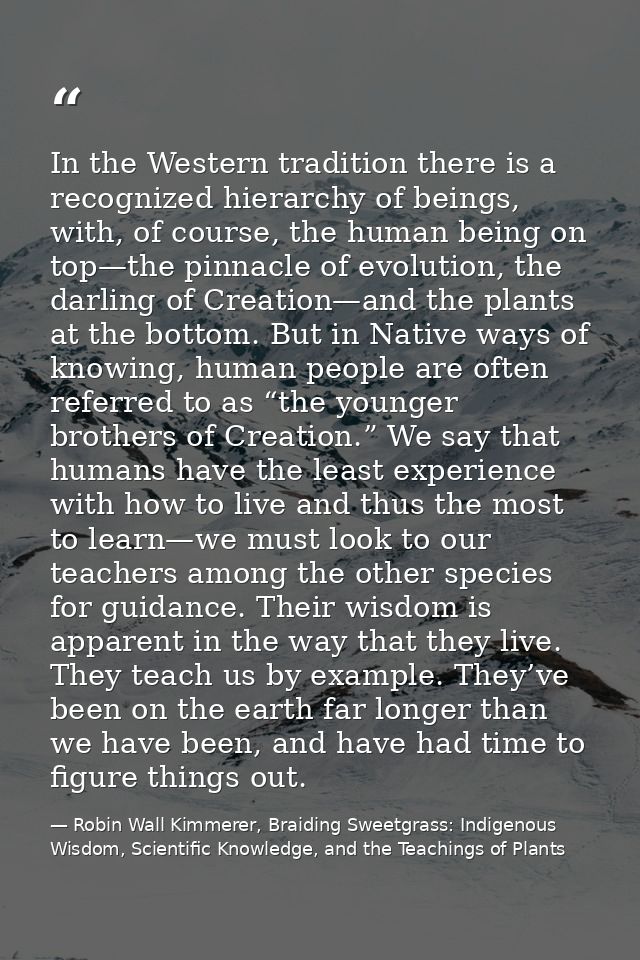 In the Western tradition there is a recognized hierarchy of beings, with, of course, the human being on top—the pinnacle — Robin Wall Kimmerer, Braiding Sweetgrass: Indigenous Wisdom, Scientific Knowledge, and the Teachings of Plants
