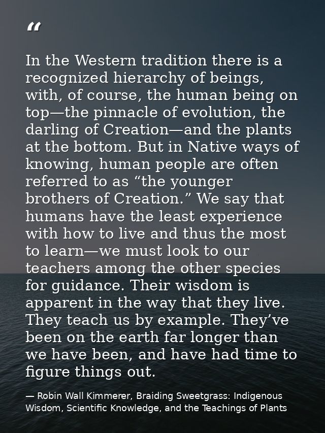In the Western tradition there is a recognized hierarchy of beings, with, of course, the human being on top—the pinnacle — Robin Wall Kimmerer, Braiding Sweetgrass: Indigenous Wisdom, Scientific Knowledge, and the Teachings of Plants