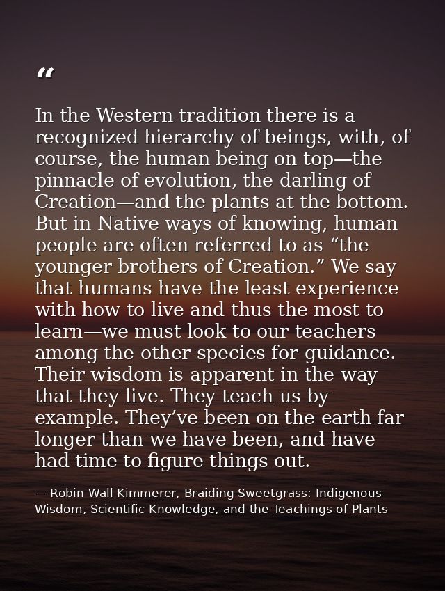 In the Western tradition there is a recognized hierarchy of beings, with, of course, the human being on top—the pinnacle — Robin Wall Kimmerer, Braiding Sweetgrass: Indigenous Wisdom, Scientific Knowledge, and the Teachings of Plants